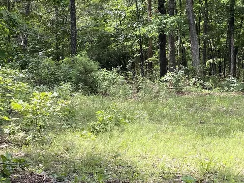 900 Mcfarr Trl, Wirth, AR 72554 photo 16