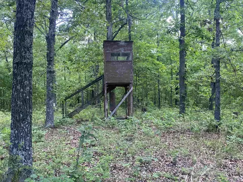 900 Mcfarr Trl, Wirth, AR 72554 photo 4