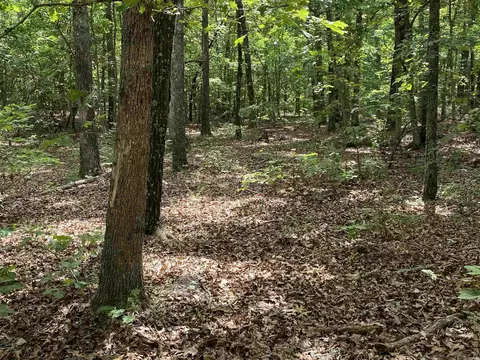 900 Mcfarr Trl, Wirth, AR 72554 photo 9