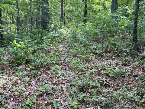 900 Mcfarr Trl, Wirth, AR 72554 photo 22