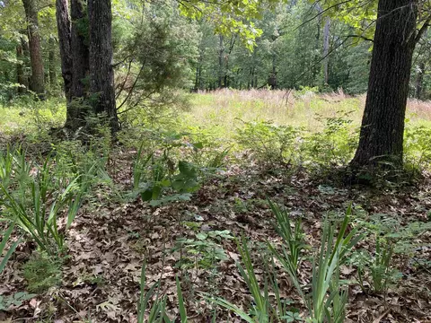 900 Mcfarr Trl, Wirth, AR 72554 photo 6