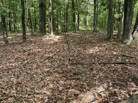 900 Mcfarr Trl, Wirth, AR 72554 photo 25