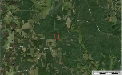 900 Mcfarr Trl, Wirth, AR 72554 photo 3