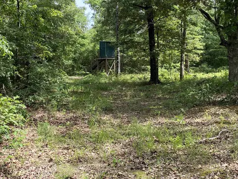 900 Mcfarr Trl, Wirth, AR 72554 photo 11