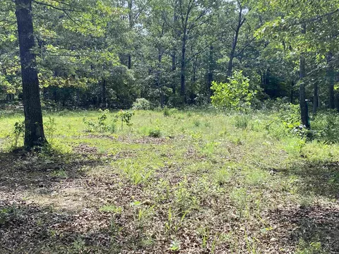 900 Mcfarr Trl, Wirth, AR 72554 photo 13