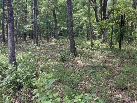900 Mcfarr Trl, Wirth, AR 72554 photo 14