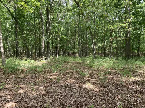 900 Mcfarr Trl, Wirth, AR 72554 photo 7