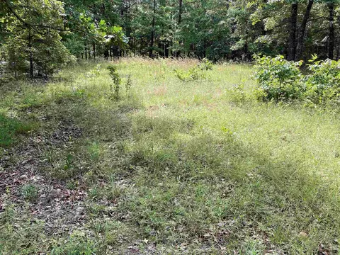 900 Mcfarr Trl, Wirth, AR 72554 photo 23