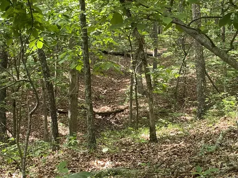 900 Mcfarr Trl, Wirth, AR 72554 photo 19