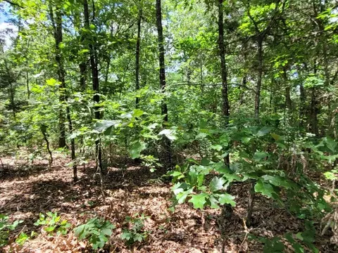 tbd Duncan Ln, Poughkeepsie, AR 72569