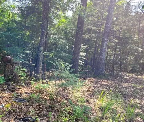 tbd Duncan Ln, Poughkeepsie, AR 72569 photo 7