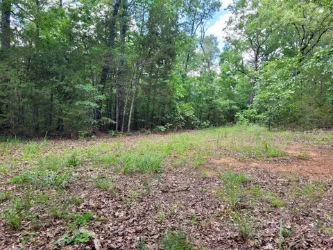 tbd Duncan Ln, Poughkeepsie, AR 72569 photo 3