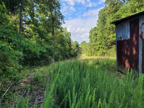 tbd Duncan Ln, Poughkeepsie, AR 72569 photo 6