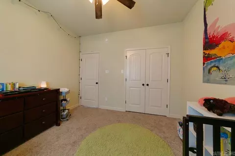 741 Mango Loop, Austin, AR 72007 photo 43