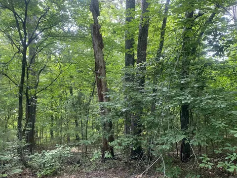 7 Camello Ln, Hot Springs Village, AR 71909