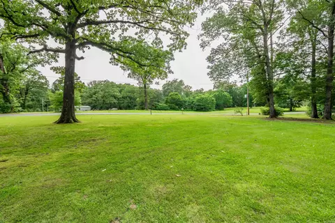 3022 Mountain View Cutoff, Benton, AR 72015 photo 7