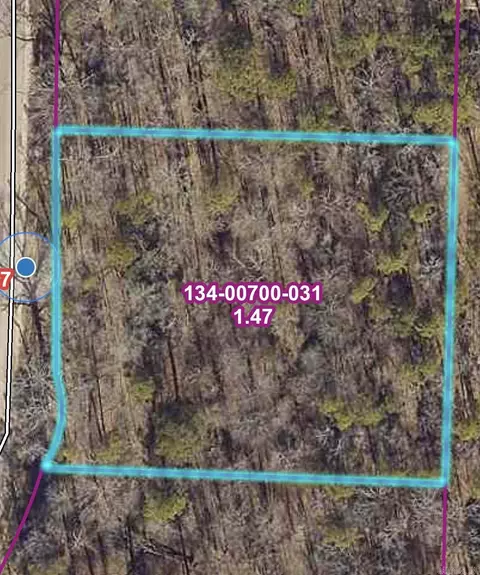 7032 Hannah Ln, Benton, AR 72019 photo 3