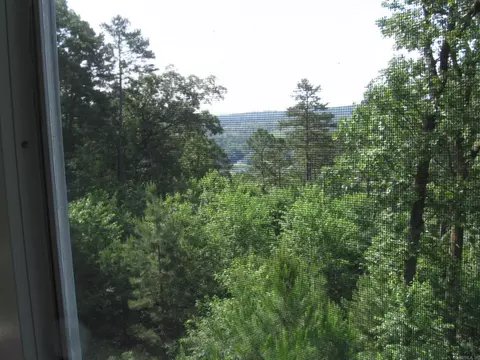 5 Sur Ln, Hot Springs Village, AR 71909