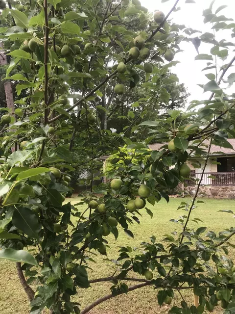 80 Dam Rd, Mayflower, AR 72106 photo 23