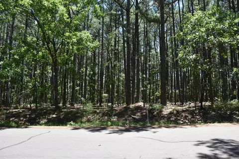 lot2 Mandarina Way, Hot Springs Village, AR 71909