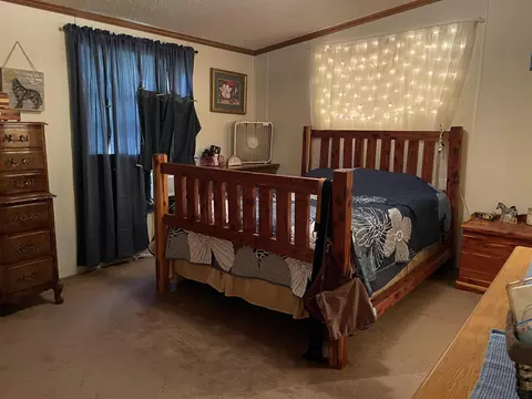 2007 Hwy 115, Imboden, AR 72434 photo 9