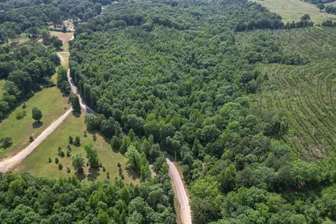 135 Bunch Rd, Wickes, AR 71973 photo 2