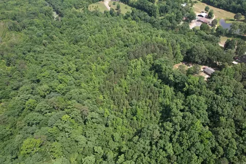 135 Bunch Rd, Wickes, AR 71973 photo 5