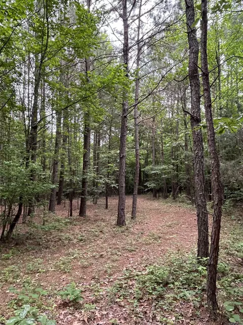 135 Bunch Rd, Wickes, AR 71973 photo 15