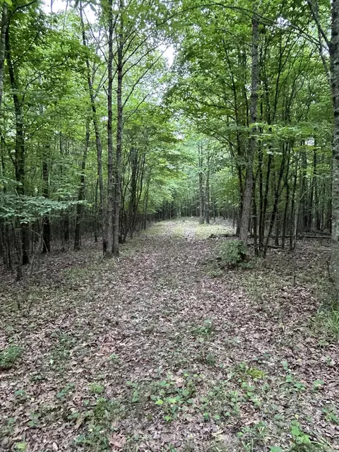 135 Bunch Rd, Wickes, AR 71973 photo 9