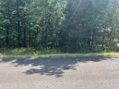 38 Perfecto Way, Hot Springs Village, AR 71909