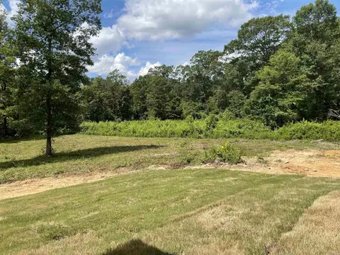 12923 Styles Rd, Bauxite, AR 72011 photo 18