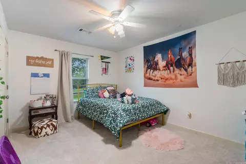 Bedroom - 330 Mill Pond Rd, Conway, AR 72034 photo 4 of 4