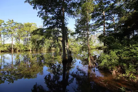 200 Woodruff 845, Augusta, AR 72006 photo 5