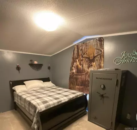 29 May Dr, Houston, AR 72070 photo 8