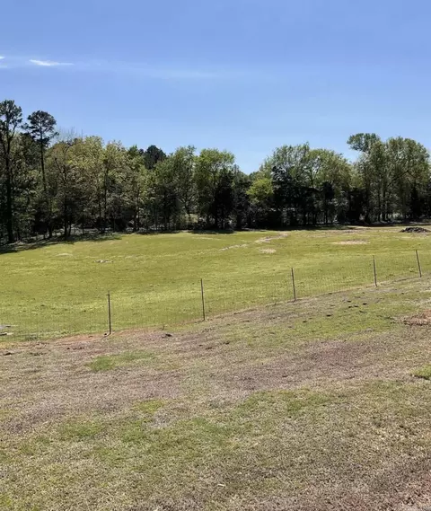 29 May Dr, Houston, AR 72070 photo 11
