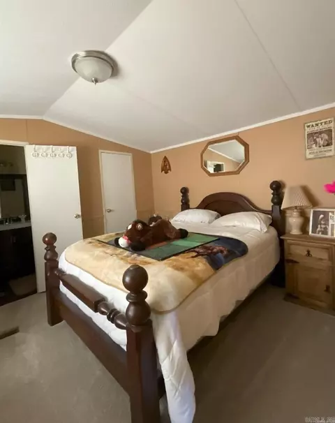 29 May Dr, Houston, AR 72070 photo 7