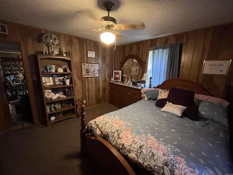321 Wolff, Dumas, AR 71639 photo 8