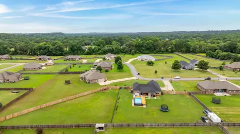 58 Colt Loop, Greenbrier, AR 72058 photo 48