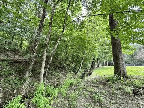 4047 E Highway 270, Mount Ida, AR 71957 photo 28