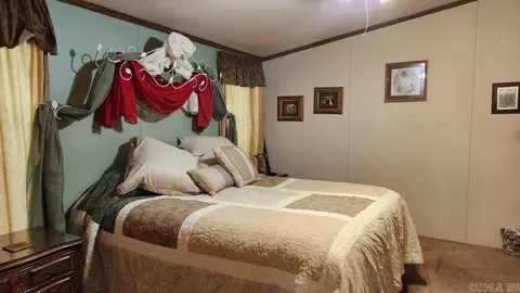 4047 E Highway 270, Mount Ida, AR 71957 photo 18