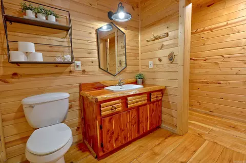Bath - 115 Evergreen Ln, Marcella, AR 72555 photo 3 of 3