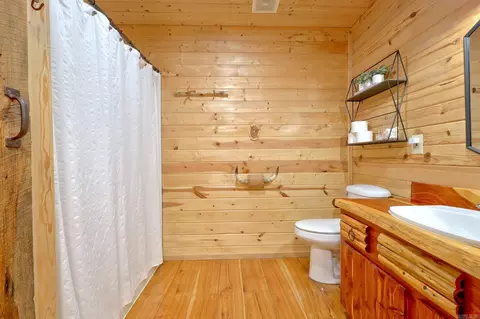 Bath - 115 Evergreen Ln, Marcella, AR 72555 photo 1 of 3