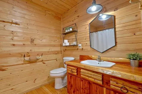 Bath - 115 Evergreen Ln, Marcella, AR 72555 photo 2 of 3