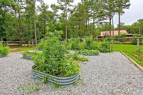 Exterior - 115 Evergreen Ln, Marcella, AR 72555 photo 10 of 14