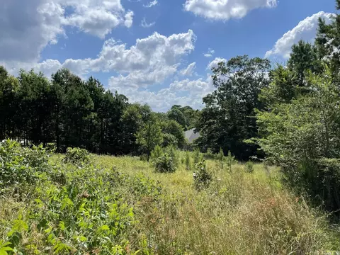tbd Tupelo Dr, Mena, AR 71953 photo 5