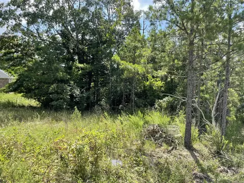 tbd Tupelo Dr, Mena, AR 71953 photo 11