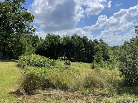 tbd Tupelo Dr, Mena, AR 71953 photo 2