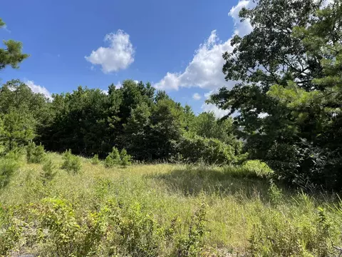 tbd Tupelo Dr, Mena, AR 71953 photo 1