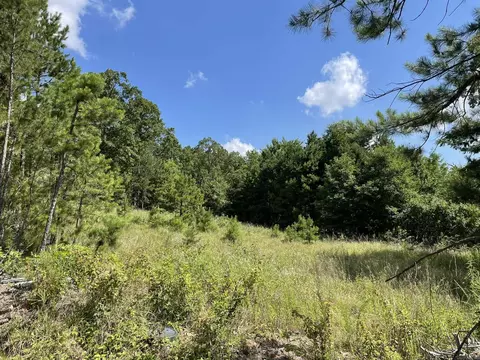 tbd Tupelo Dr, Mena, AR 71953 photo 9