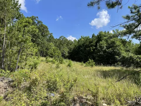 tbd Tupelo Dr, Mena, AR 71953 photo 10